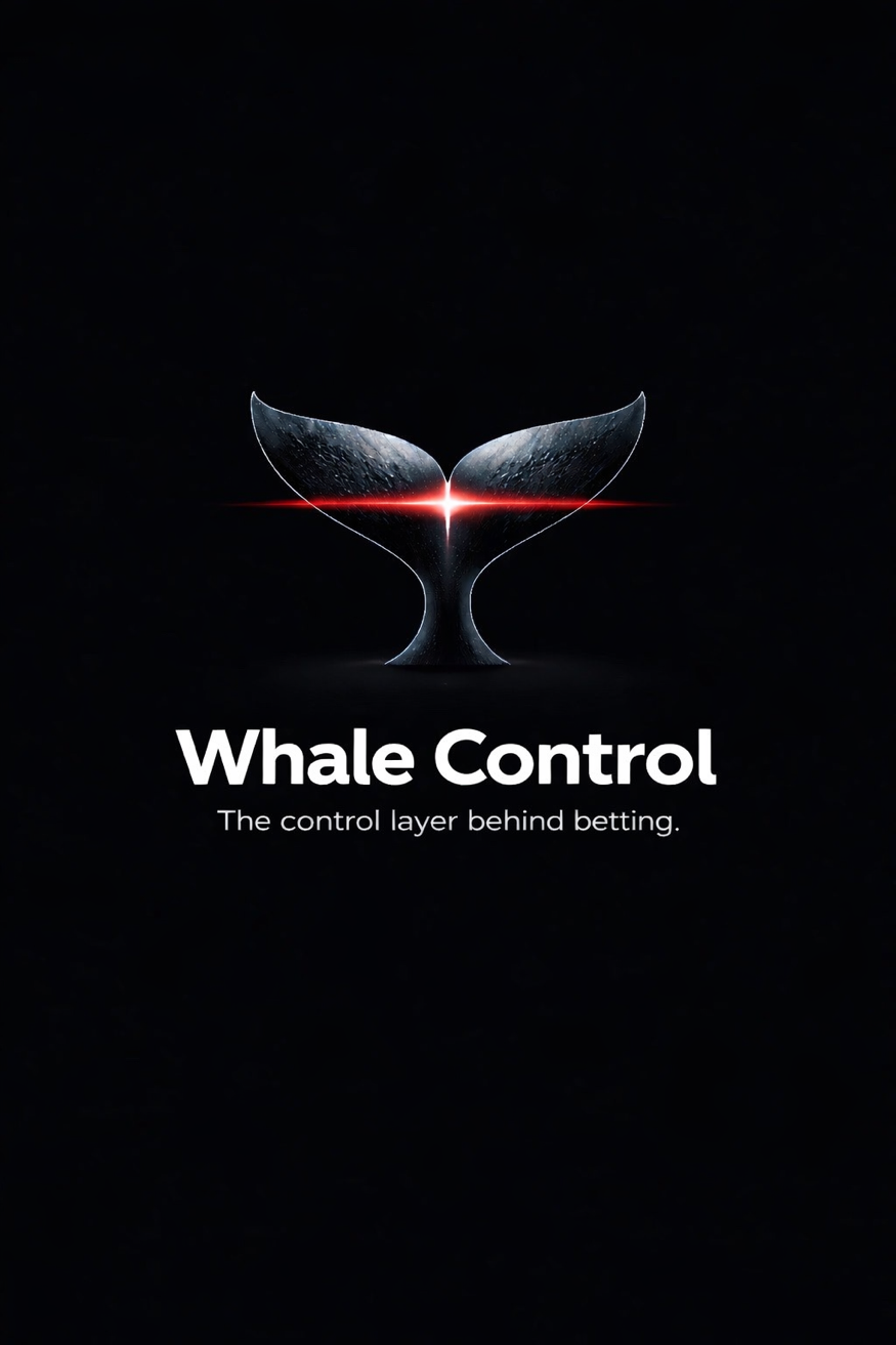 Whale Control - Financial Verification Infrastructure